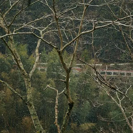 Otoyocho目の前が吉野川・雨天でも屋外体験ができる絶景の一軒家别墅 外观 照片
