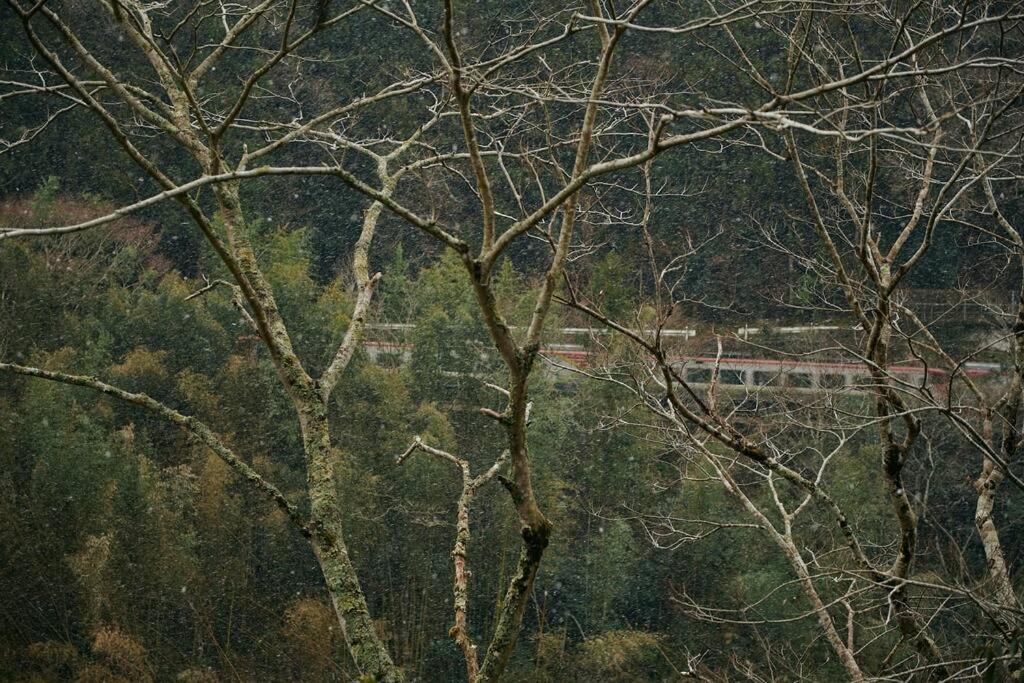 目の前が吉野川・雨天でも屋外体験ができる絶景の一軒家 Otoyocho