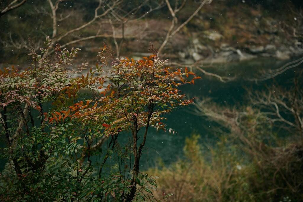 目の前が吉野川・雨天でも屋外体験ができる絶景の一軒家 Holiday home